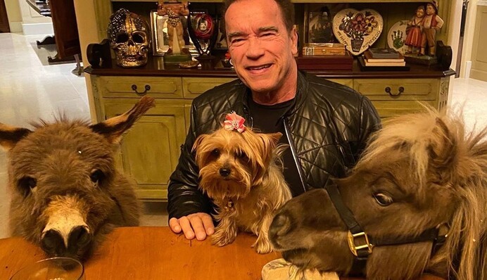 Шварценеггер судиться з російським виробником роботів - його обличчя і голос використовують для реклами