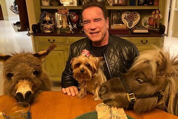 Шварценеггер судиться з російським виробником роботів - його обличчя і голос використовують для реклами