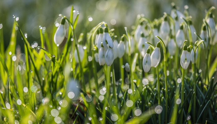 А небо плаче грозами: погода зробить свій подарунок українкам на 8 березня