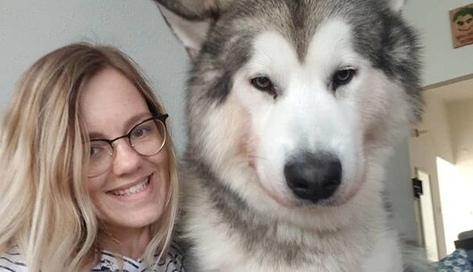 Люди показывают в сети аляскинских маламутов - и это точно не те песики, которых захочется подразнить