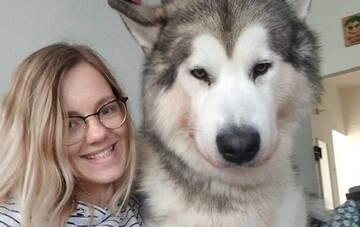 Люди показують в мережі аляскинських маламутів - і це точно не ті песики, яких захочеться подражнити