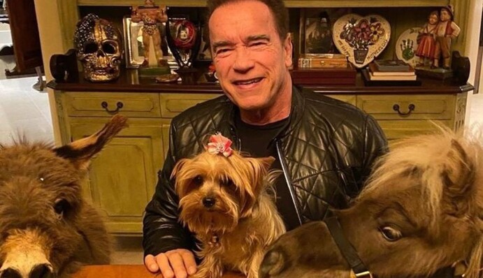 Арнольд Шварценеггер показав, як відпочиває в карантині, і тепер його називають багатим лицеміром