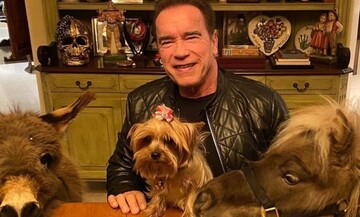 Арнольд Шварценеггер показав, як відпочиває в карантині, і тепер його називають багатим лицеміром