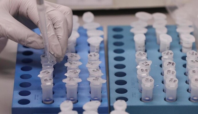 Коронавірус заразив понад 750 тисяч людей: що відбувається в Україні і світі (хроніка 30 березня)