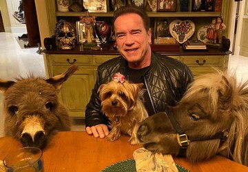 Демі Мур з чихуахуа на голові розвеселила соцмережі, а Шварценеггер з осликом зіграли в шахи: фото