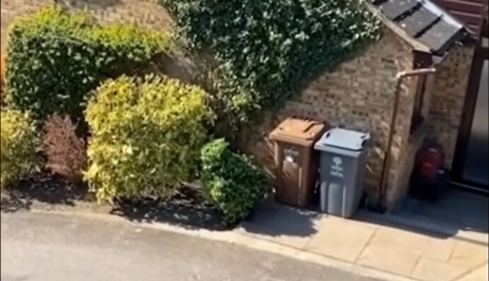 Чоловік прикинувся кущем, щоб вийти на вулицю під час карантину - сусіди зробили його знаменитістю