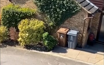 Чоловік прикинувся кущем, щоб вийти на вулицю під час карантину - сусіди зробили його знаменитістю