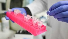 Коронавирус убил свыше 46 тыс. человек: что происходит в Украине и мире (хроника 1 апреля)