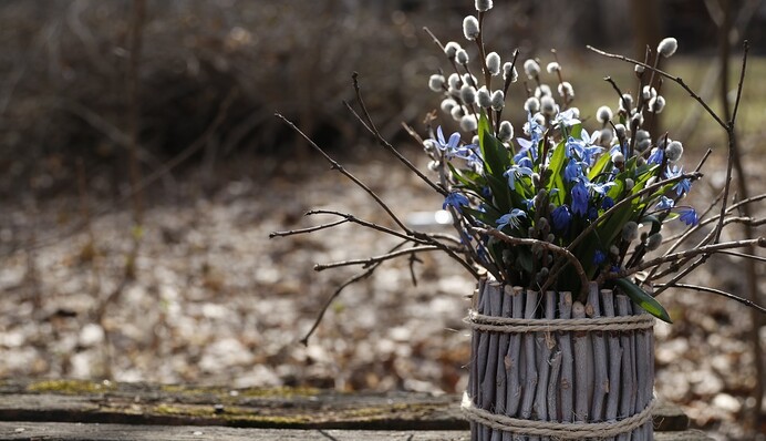 Как праздновать Вербное воскресенье: главные традиции и приметы праздника