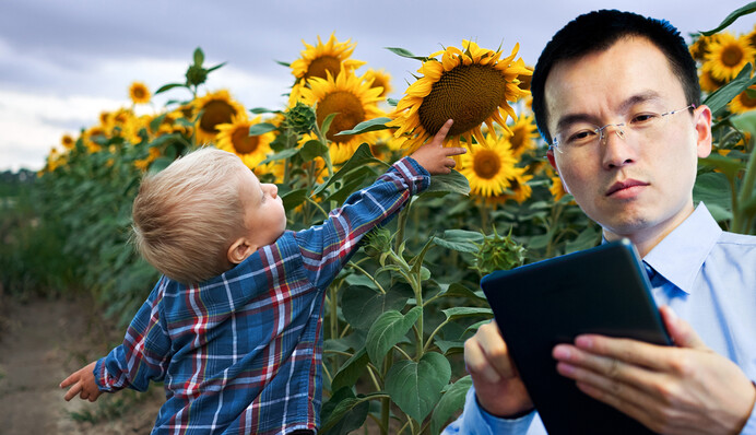 Банки земли, 