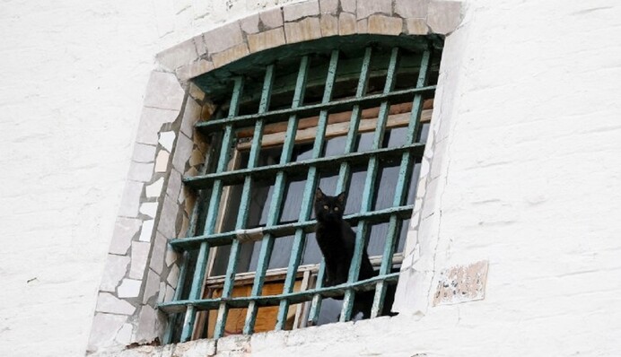 Заключение или смерть: как пережить коронавирус в тюрьме