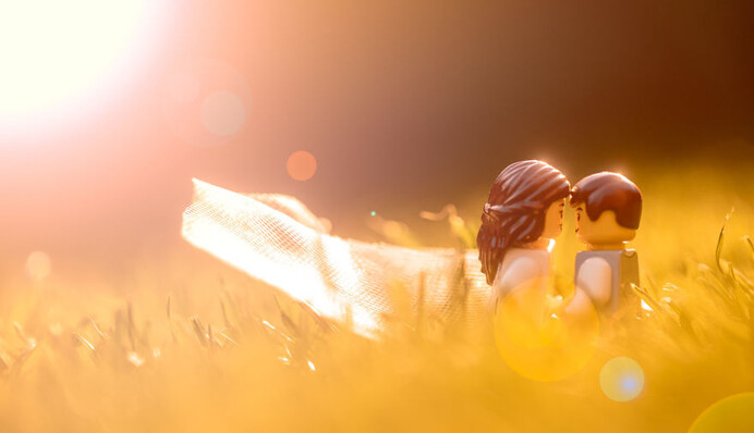 Фотограф на карантині відзняв весілля з LEGO - ось як вражаюче виглядають 11 років досвіду