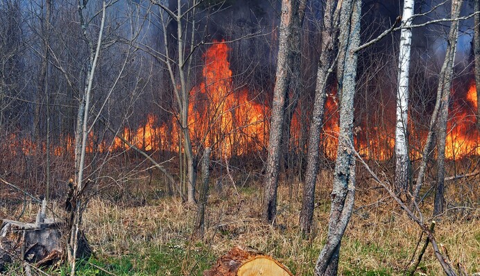 Це підпал, а державі 