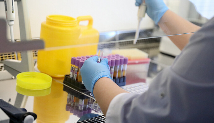 Европа ослабляет карантин, а США прошли пик: как меняется ситуация с коронавирусом в Украине и мире (хроника 16 апреля)