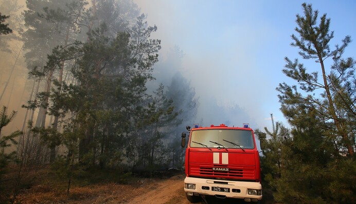 Пока чиновники боялись - леса не горели: главные причины пожаров под Чернобылем