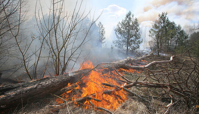 Країна у вогні: хто відповість за чергову катастрофу