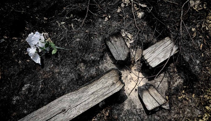 Власть 30 лет разводила костер, пока в этом году его кто-то не поджег - репортаж из зоны лесных пожаров