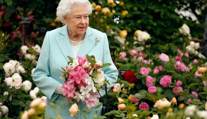 Сеть восхитили фото цветущего сада королевы Елизаветы
