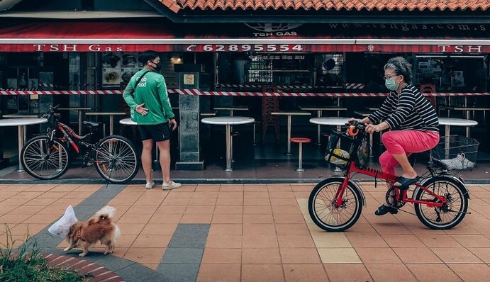 Пес с пакетом на голове угодил в СМИ. Теперь он - символ борьбы с Covid-19 и звезда новостей о карантине