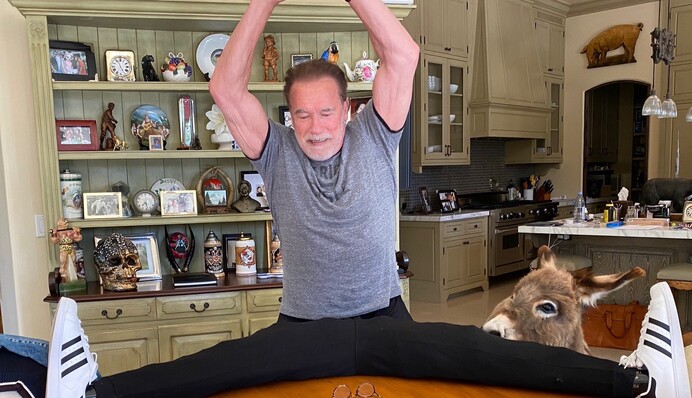 72-річний Арнольд Шварценеггер розсмішив соцмережі відео 