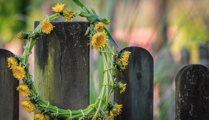 Як святкувати Трійцю: головні традиції та звичаї