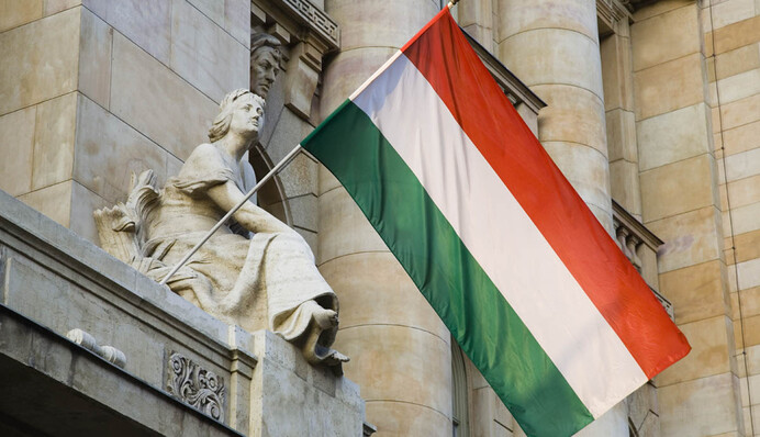 Новые нюансы: как коронавирус изменит отношения между Венгрией и Украиной