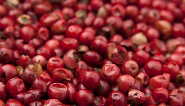 3 міфи про користь ягід годжі, які зробили їх трендовим продуктом