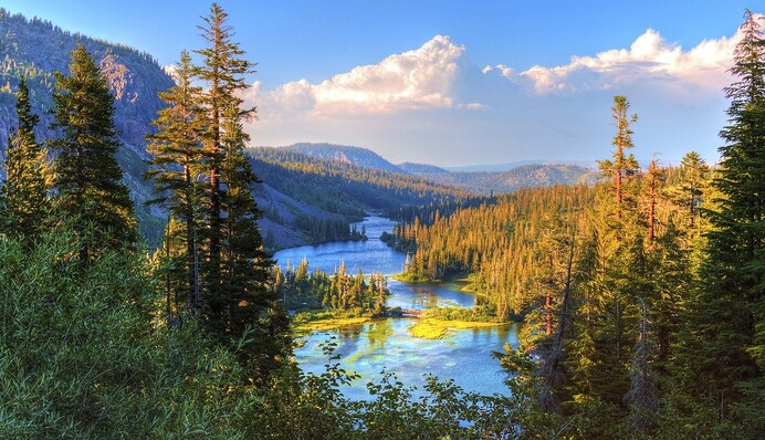 Україна та Паризька угода: чи продовжиться олігархічний дерибан на згарищі?