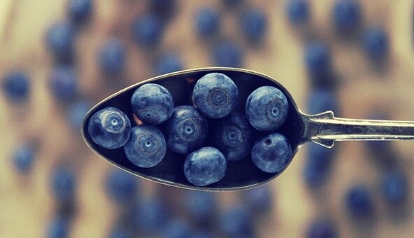 Що варто знати про властивості лохини: користь і можлива шкода сезонної ягоди