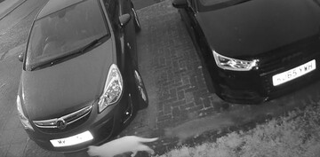 Жінка показала відео з привидом кота: люди не вірять у духів, але й не можуть розгадати загадку