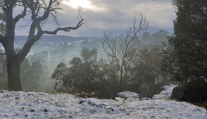 Місто в Австралії вперше за 40 років засипало снігом, і ці фото заворожують