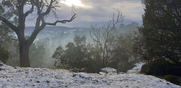 Місто в Австралії вперше за 40 років засипало снігом, і ці фото заворожують