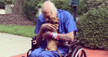 Крихітний пес врятував життя хазяїну з інсультом - фото їхньої зустрічі зворушують до сліз