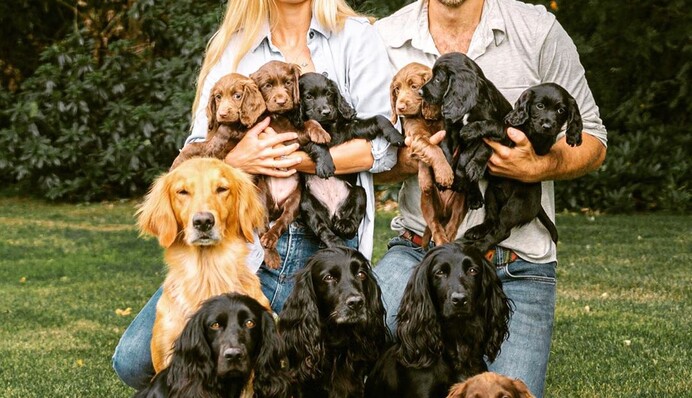 Брат Кейт Міддлтон показав, як його пес рятується від спеки - всім би таке життя