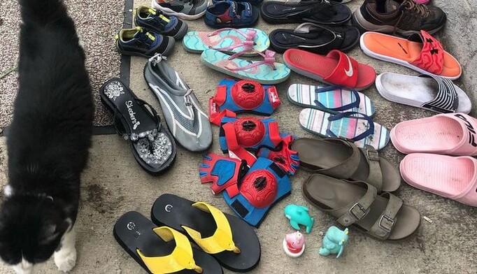 Кот-воришка по ночам таскает от соседей обувь - у 