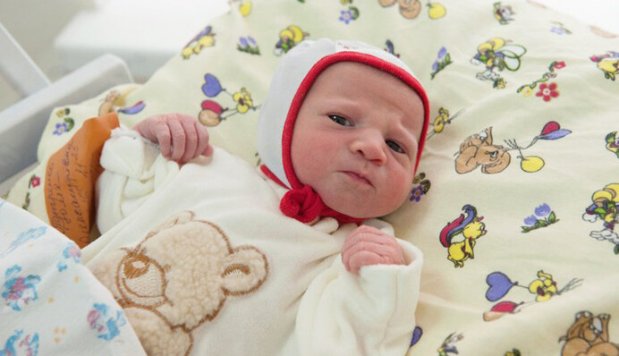 Взрослые схемы на детской помощи: кто может заработать на бэби-боксах