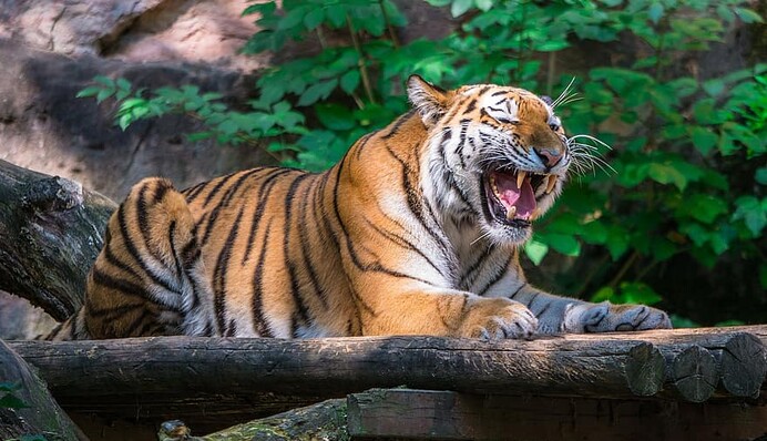 Туристку засуджують за 