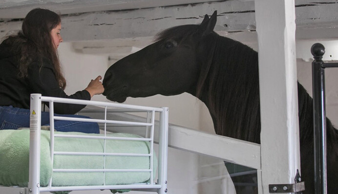 Незвичайний готель пропонує провести ніч в стійлі з кіньми, і це задоволення не з дешевих