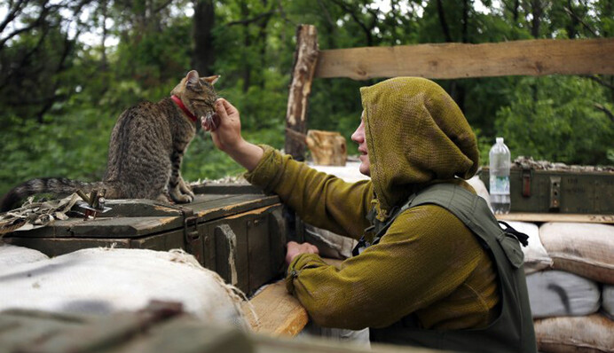 Stable Ceasefire in Donbas: Mission Accomplished?