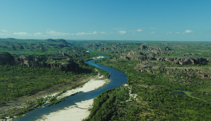 В Австралии спасают кита, который по ошибке заплыл в кишащую крокодилами реку