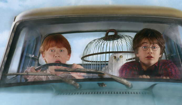 В Беларуси заподозрили, что в книгах о Гарри Поттере могут быть призывы к свержению власти