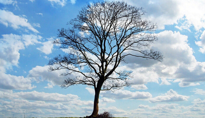 Приготовиться к теплу: синоптики порадовали прогнозом на выходные