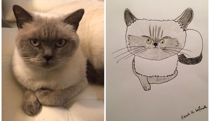 Парень рисует домашних животных ради благотворительности - эти милые портреты очаровывают своей простотой