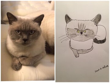 Хлопець малює домашніх тварин заради благодійності - ці милі портрети зачаровують своєю простотою