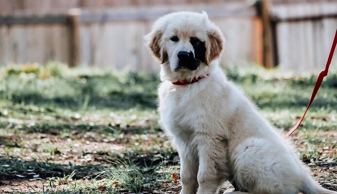 Редкая генетическая мутация 