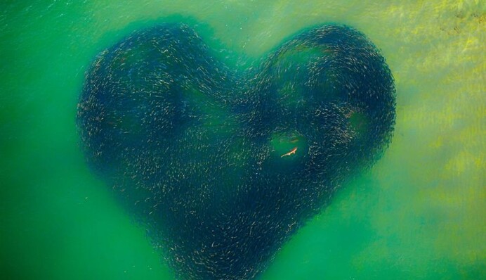 Названы победители конкурса Drone Photo Awards 2020 - вот 10 лучших фото, сделанных с высоты птичьего полета