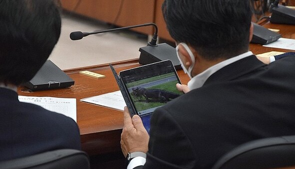 В Японії депутата підловили на перегляді пізнавального відео, але до колег з України йому ще далеко