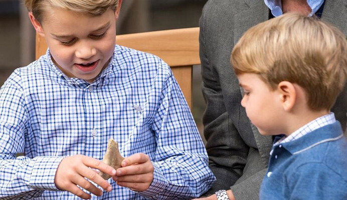 Принцу Джорджу подарували знайдений на Мальті зуб стародавньої акули - тепер країна хоче його назад