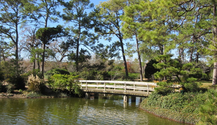 В Японии офисных работников выманивают на природу - для этого в парках и лесах открывают Wi-Fi