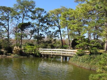 В Японії офісних працівників виманюють на природу - для цього в парках і лісах відкривають Wi-Fi